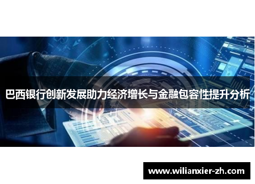 巴西银行创新发展助力经济增长与金融包容性提升分析