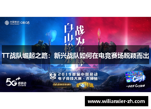 TT战队崛起之路：新兴战队如何在电竞赛场脱颖而出