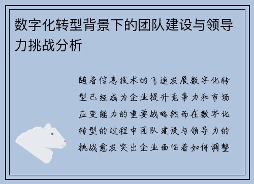 数字化转型背景下的团队建设与领导力挑战分析