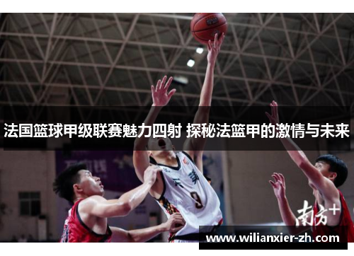 法国篮球甲级联赛魅力四射 探秘法篮甲的激情与未来