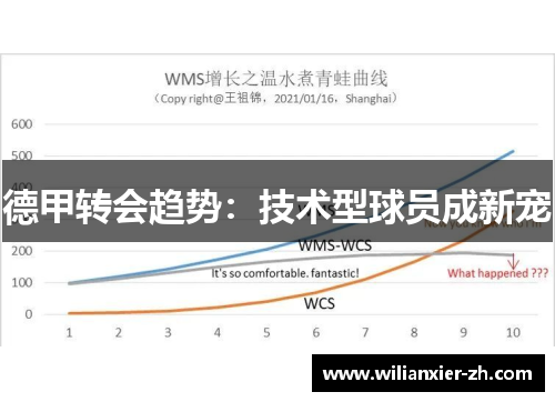 德甲转会趋势：技术型球员成新宠